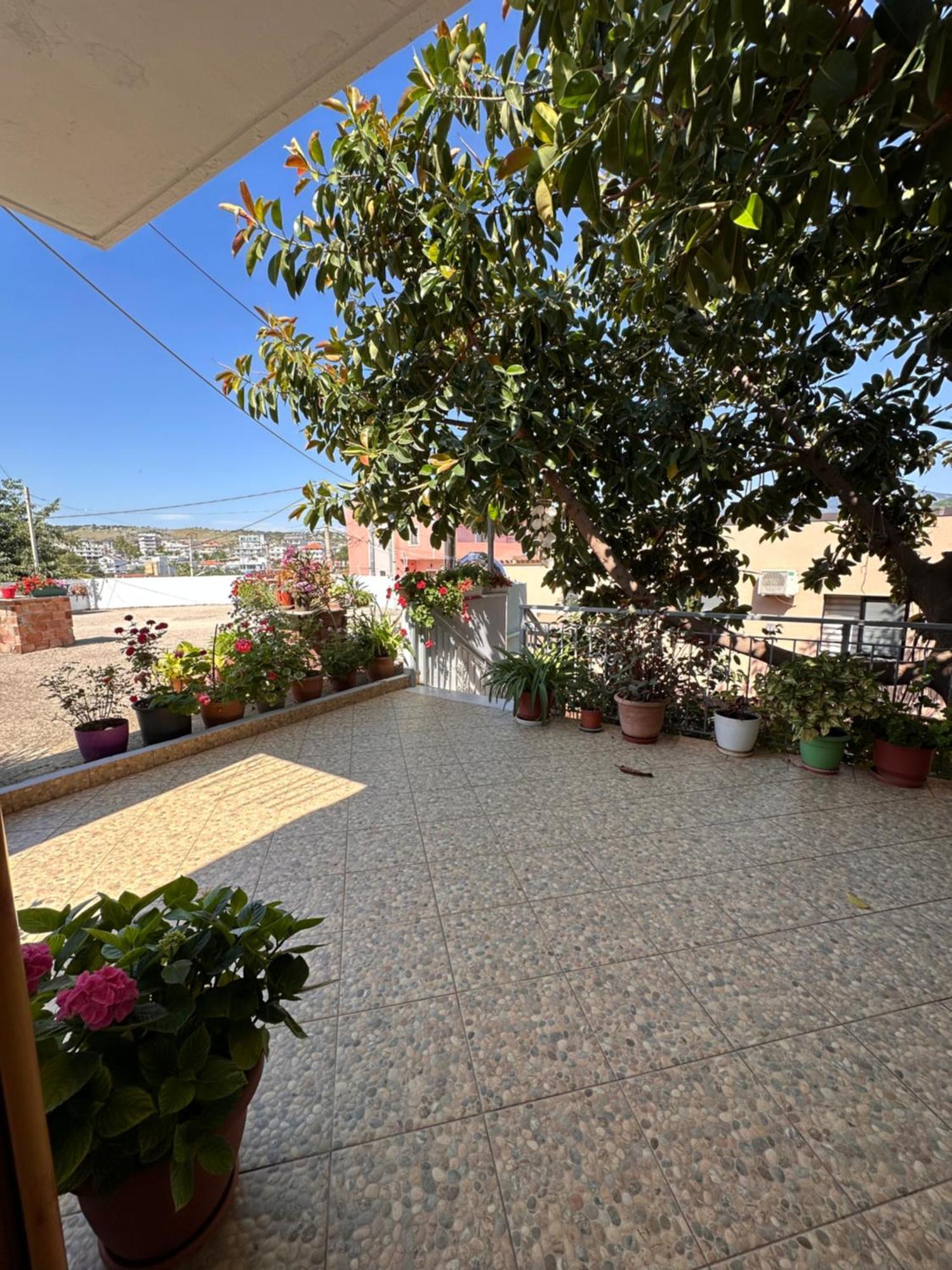 Albi'S Guesthouse 사밀 외부 사진