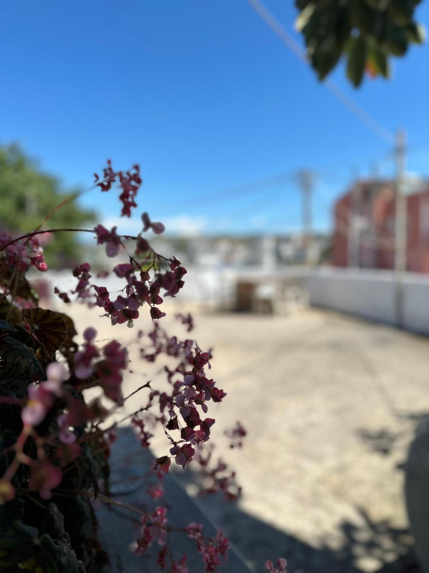 Albi'S Guesthouse 사밀 외부 사진